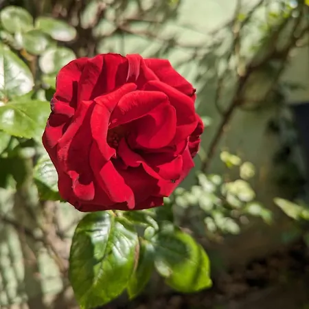 An Der Bimmelbahn Aparthotel Wernigerode