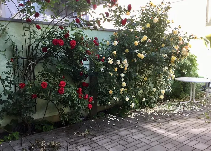 An Der Bimmelbahn شقة فندقية فيرنغروده