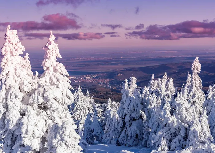 An Der Bimmelbahn Lägenhetshotell 3*